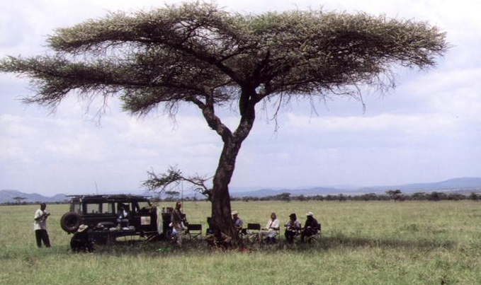 Serengeti Lunch Stop